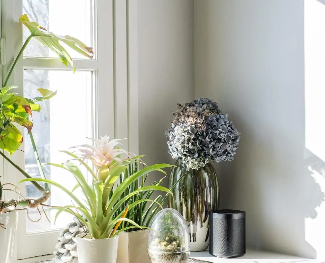 Apartment Veeve - Arboreal Maison *